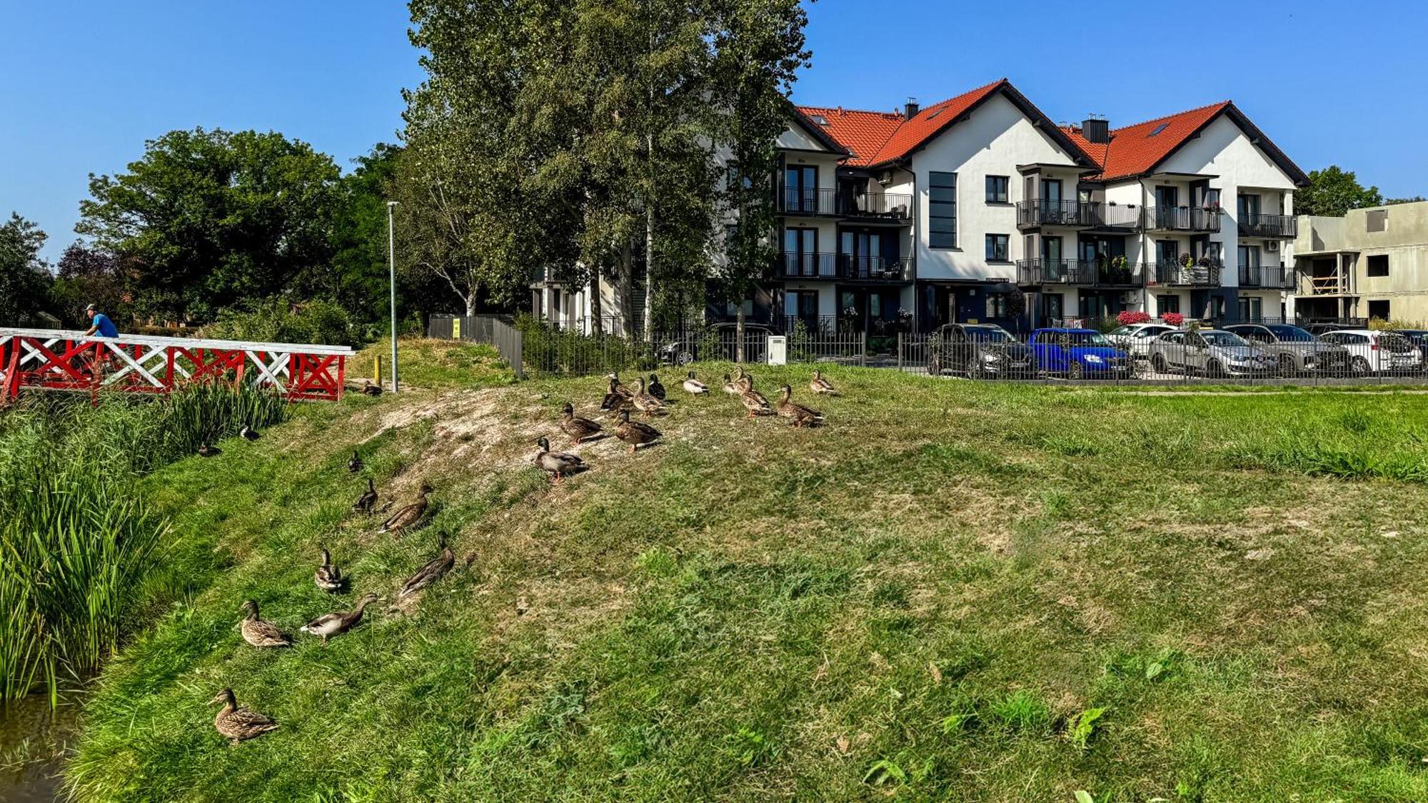 Delux Sun & Snow Nad Ujsciem - Blisko Plazy, Centrum, Klimatyzacja * Leba
